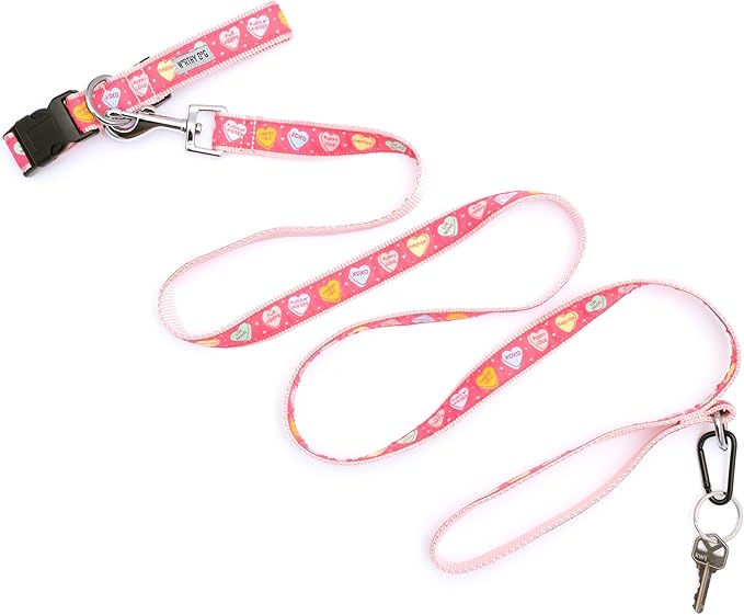 THE WORTHY DOG Adjustable Holiday Dog Collar for Medium Dogs, Durable Nylon Webbing, Quick Release Buckle, Puppy Love Conversation Hearts Valentine's Day Pattern, Pink, Medium