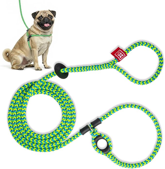Harness Lead No Pull Dog Harness and Leash Set, Anti Pull Dog Harness, One-Piece Cushioned Rope Safely Prevents Escaping and Pulling *New Insert is Removable (Small/Medium, Peacock/Blue/Lime)