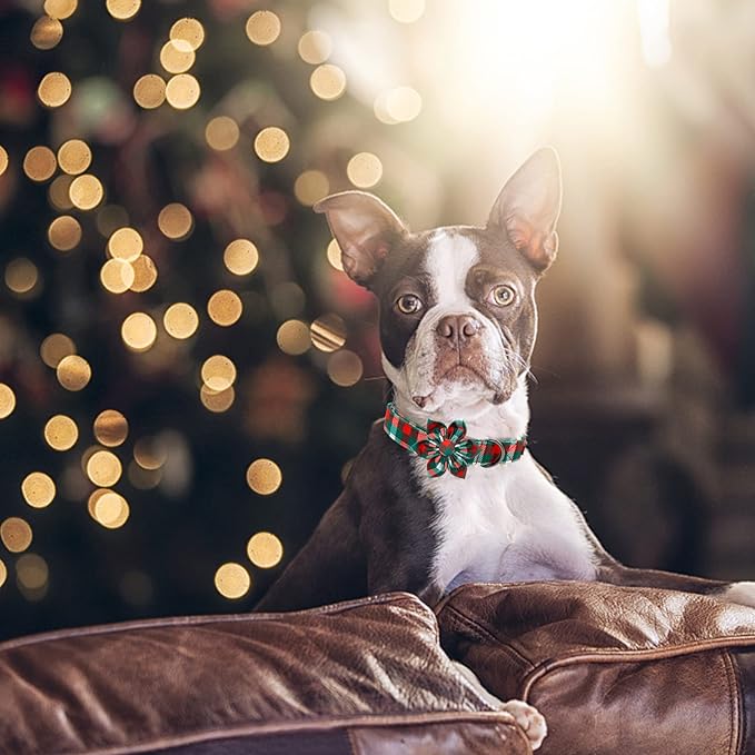 Elegant Little Tail Flower Dog Collar - Adjustable Plaid Christmas Collar for X-Small Puppy