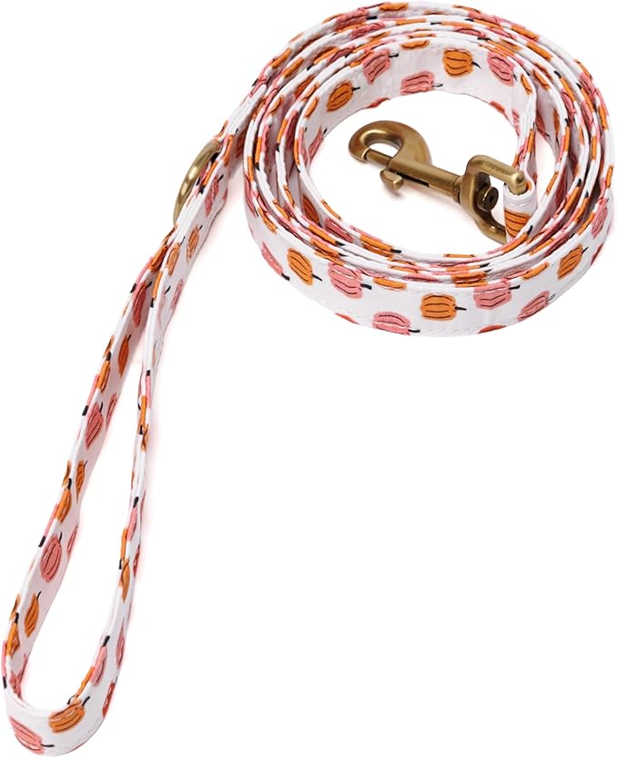 Organic Cotton Dog Leash for Small,Medium and Large Breed,Brass Hardware Pet Leash for Walking,Running and Training 6FT
