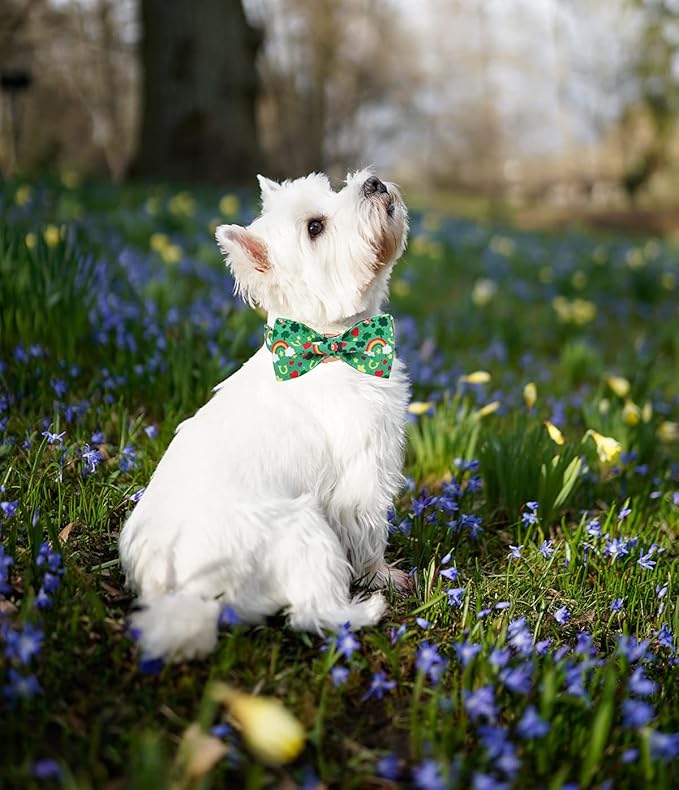 DOGWONG Green Lucky Clover Shamrock Dog Collar with Bowtie, Soft Adjustable St. Patrick's Day Lucky Charm Puppy Collar for Small Medium Large Dog