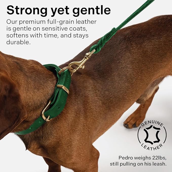 Scout Supply Classic Leather Dog Leash | Strong Heavy Duty Thick Full Grain Leather | Waterproof & Rust-Proof Brass Hardware (Green, L: 4.5 ft x 2/3 in)