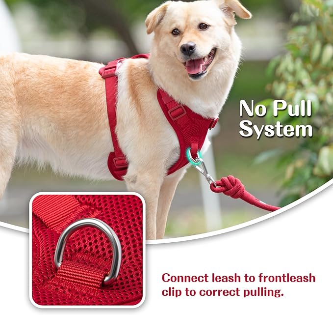 No Pull Dog Harness for Small Medium Large Dogs - Adjustable 2 Layer Mesh Dog Vest with Dual Clip, Escape Proof, Quick Release, Lightweight Breathable Mesh for Walking Hiking (Burgundy Red,L)