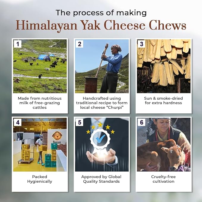 Dogsee Himalayan Yak Cheese Dog Chews with Turmeric/Curcumin (Medium - 2 Chews) | All Natural Long Lasting | Anti-inflammatory | Odorless High Protein Chew | Dog Treats for Active Chewers