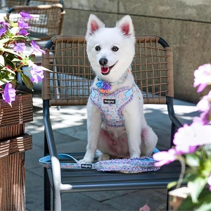 Blueberry Pet Floral Dog Collar with Detachable Flower, Medium, Lavender, Adjustable Neck 14.5"-20", 3/4" Width, Eco-Friendly Buckle, Stylish Dog Collars for Medium Dogs, Safe Puppy Collar