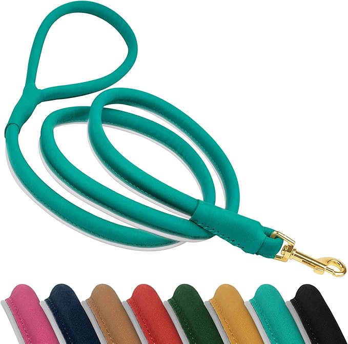 OOPSDOGGY Reflective Rolled Leather Dog Leash 6ft - Soft Training Lead for Small Medium Large Dogs Puppy - Heavy Duty Rope Puppies Leashes for Outdoor Walking Running (Teal, Small)