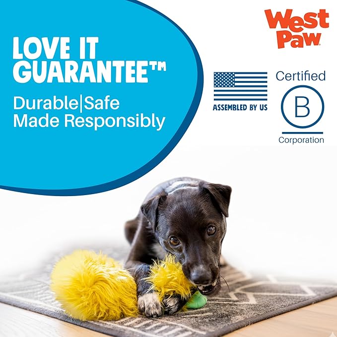 WEST PAW Rowdies Sven Durable Plush Dog Toy with HardyTex Reinforced Seams Squeaker - Soft Plush Exterior Hand Sewn by Skilled Artisans and Made in USA for Dogs - Citrus
