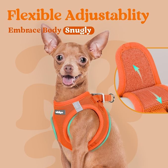rabbitgoo Small Dog Harness, Step-in Soft Mesh Puppy Vest with Safety Buckle, Breathable Reflective Pet Harness for Small Medium Dogs, Orange L