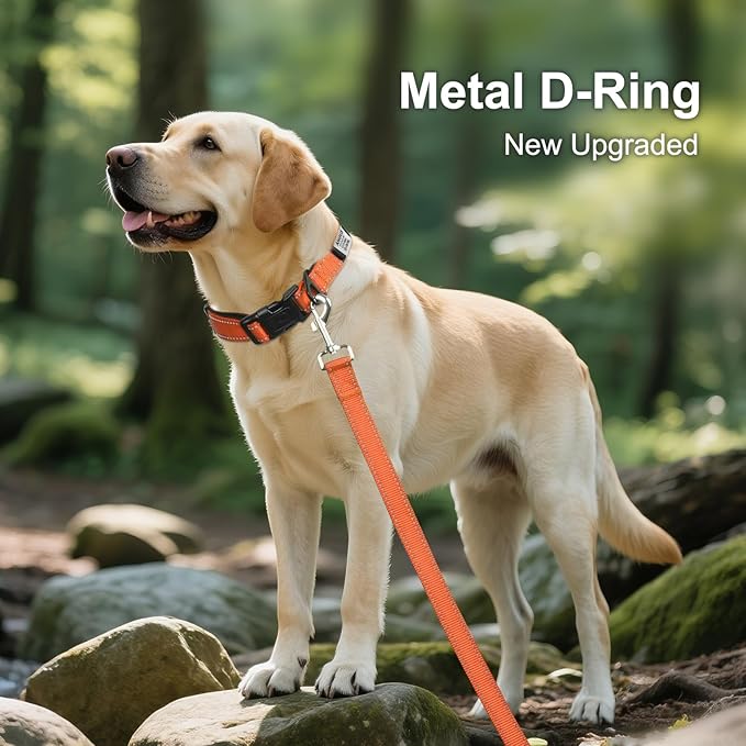 Joytale Personalized Dog Collars with Engraved Name Plate, Silent No Jingle Custom Nylon Collar with Fixed ID Tag, Reflective Soft Neoprene Padded Breathable for for Large Dogs, Orange