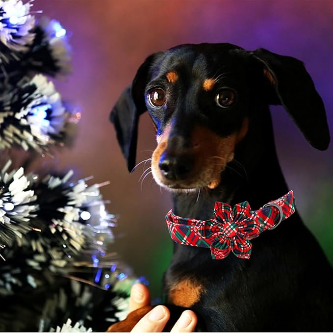 Elegant Little Tail Red Plaid Christmas Dog Collar with Flower for Large Dogs
