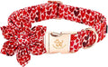 Elegant little tail Valentine's Dog Collar with Flower, Cute Heart Dog Collar for Medium Dogs Female Adjustable Cotton Pet Collar with Flower for Small Medium Large Dogs