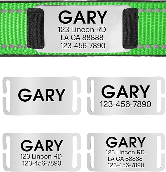 Joytale Personalized Dog Collars with Engraved Name Plate, Silent No Jingle Custom Nylon Collar with Fixed ID Tag, Reflective Soft Neoprene Padded Breathable for Puppy and XSmall Dogs, Green