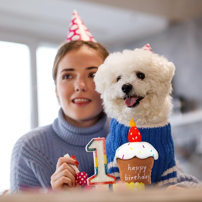 Dog Birthday Toys - Dog Birthday Cake Toy, Strawberry Plush Squeaky Cake Dog Toy, Gift for Puppy