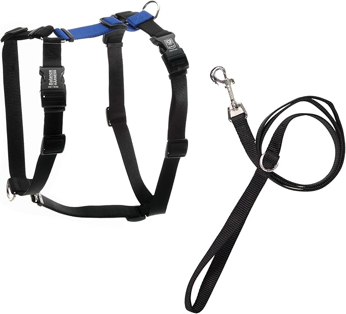 Blue-9 Pet Products No-Pull Balance Harness and Loose Leash Walking Set Dogs, Made in The USA, Blue, X-Small