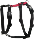 Blue-9 Buckle-Neck Balance Harness, Fully Customizable Fit No-Pull Harness, Ideal for Dog Training and Obedience, Made in The USA, Red, Medium/Large