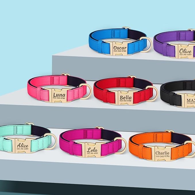 PET ARTIST Personalized Dog Collars, Colorful Purple Custom Dog Collar with Silent Engraved ID Tag, Lightweight Breathable Nylon & Soft Padded, Matching Leash & Poop Bag for Large Dogs,L Fit 15-23"
