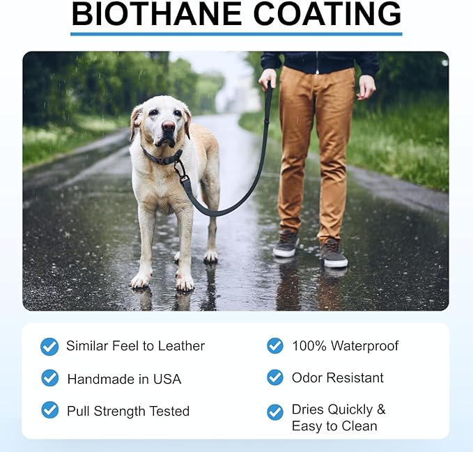 DogTraxs - Essential Dog Leash - Biothane Training Lead - for Small-Large Dogs - Waterproof & Odor Resistant -Self Locking Swivel Carabiner Durable -Made in USA - 3 Feet -Caramel Brown