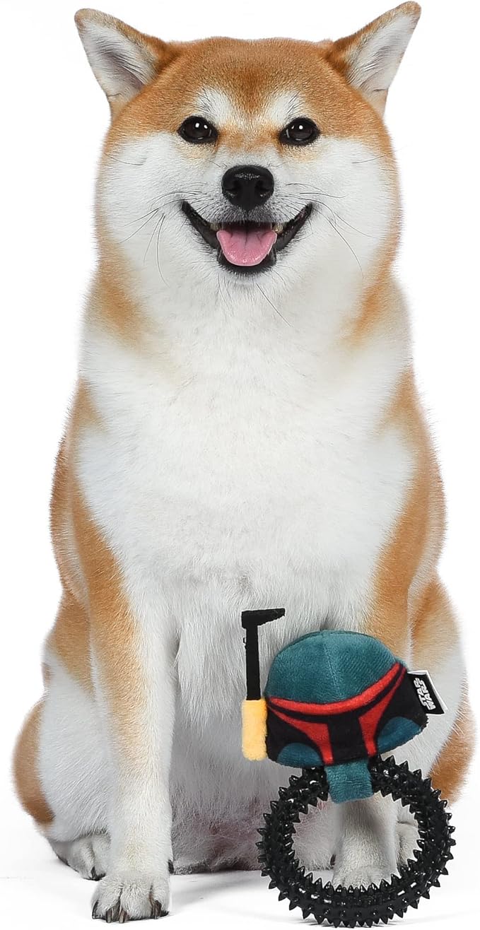 STAR WARS for Pets Boba Fett Puppy Ring Teether Toy |Boba Fett Teething Toy | Puppy Teething Toys, Puppy Safe Chew Toys, Gifts Fans, Boba Fett Ring Teether Toy, 7 Inch (FF19216)
