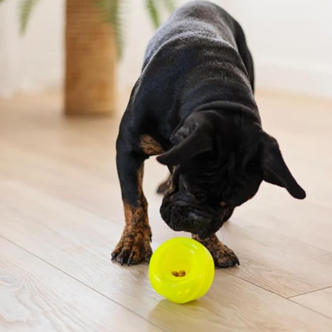 Messy Mutts Stuff’n Wobble Ball | 3.9” Green Fillable Dog Toy | Interactive Puzzle Ball for Dogs | Engaging Treat Dispensing Toy for Dogs