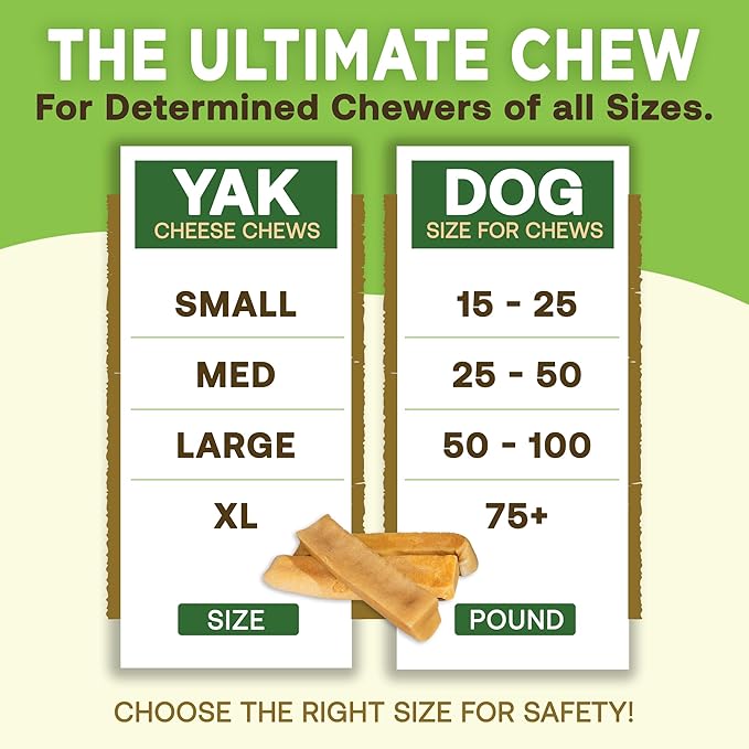 EcoKind Premium Gold Yak Cheese Himalayan Dog Chews, Healthy Dog Treats for All Dog Breeds & Sizes, All Natural, Long Lasting Dog Chew for Aggressive Chewers, High Protein Treat, Medium - 3 Chews