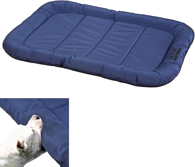 Durable Outdoor Dog Bed with Pillow Around Curling Sleep Fully Waterproof Indoor Cat Bed Crate Mat Stable Kennel Pad, for Pets (Blue, Small(23x18in))