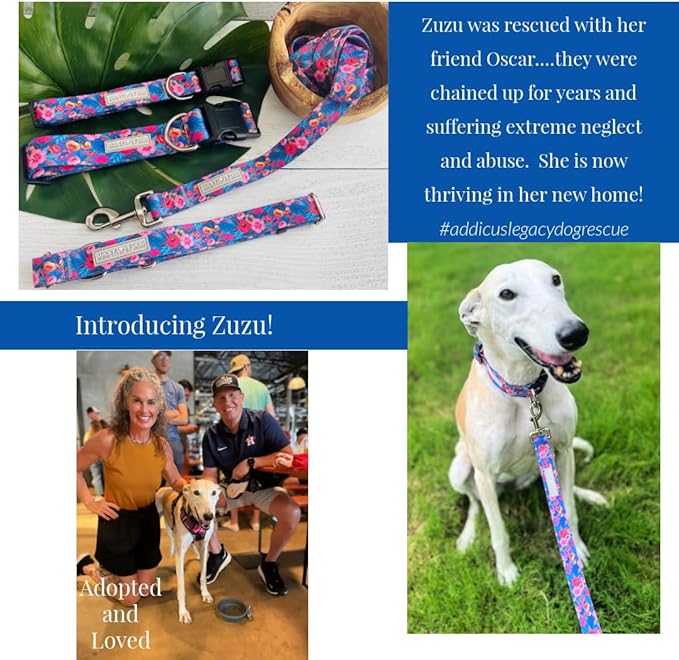 Lucky Love Dog Wide Dog Collar - Adjustable, Durable, Soft Webbing, & Comfortable 1.5 inch Wide Collar for Dogs Male and Female with Strong Buckle - Zuzu, Large
