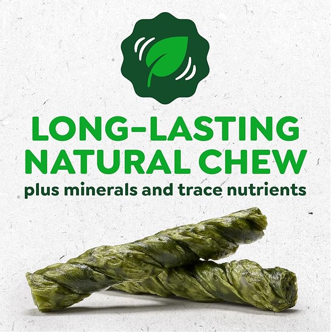 Greenies Occupy Twists Natural Dog Treats Regular Size Dog Chews Long Lasting Chicken Flavor, 8.65 oz. Pack, 6 Count