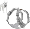 Plutus Pet No Pull Dog Harness, Release at Neck, Reflective Adjustable Dog Vest Harness, Easy Control Handle for Walking, for Small Medium Large Dogs, Gray, L