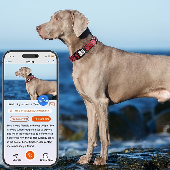 Reflective Dog Collar with QR Code Tag, Personalized Dog Collar, Safety Night Visibility, Anti-Loss Function (Red, Large)