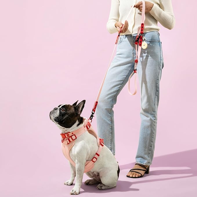HNS1000G Arlo Extra Small Adjustable Soft Padded No Pull Pet Harness with 3 Buckles and 3 Leash Clips, Paloma