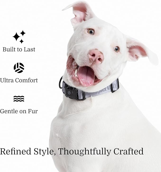 2026 New Edition, Fei & Eve MagEase Dog Collar - Patented Magnetic Buckles | Fur-Safe | Premium 210D Nylon | 450LB Escape-Proof | Adjustable Fit | Small (Twilight Gray)