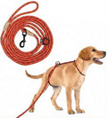 12ft No Choke Leash Long Rope Dog Leash, Anti Pulling Dog Leash, Dog Harness and Leash, Dog Leads for Walking, Double Hook & Escape Proof for All Breeds, Reflective Red