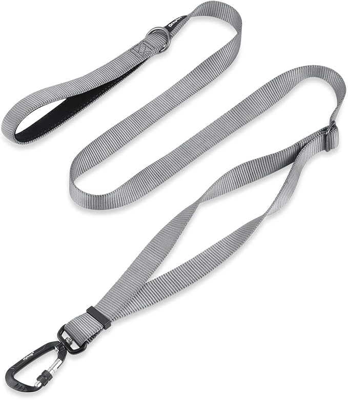 Hyhug Nylon Adjustable 4-6ft Dog Leash with Soft Neoprene Padded Handle, Durable Heavy Duty Leash with Easy-to-Use Bolt Snap, Ideal for Jogging Outdoor