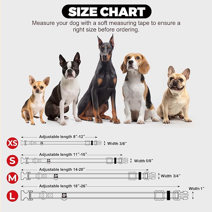 azuza Reflective Dog Collar,Soft Neoprene Padded Pet Collar with ID Tag Ring,Adjustable for Medium Dogs,Sky Blue,M