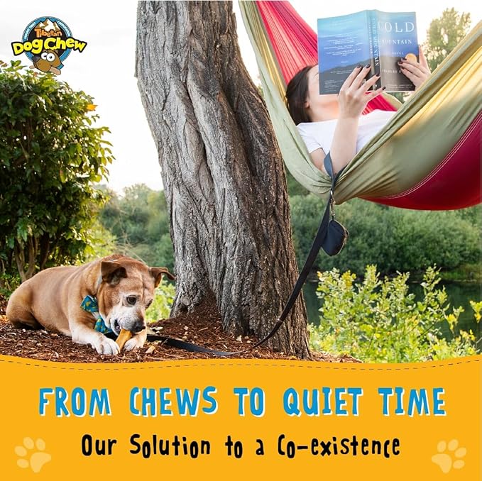 Tibetan Dog Chew Yak Cheese Sticks (5 Medium Chews) - Natural Handmade Treats for Medium Dogs, Long-Lasting, Easy to Digest with No Additives, Rawhide, Grains or Gluten, Perfect for Aggressive Chewers