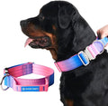 Tactical Dog Collar with Handle - Premium Quality Collar, Robust and Durable Design for Large, Strong Breeds - Pitbulls, Labradors, GSD - Snow Cone - M