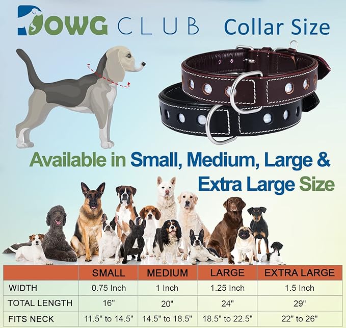 Genuine Leather Reflective Dog Collar | Stellar Series | Safe for Night Walking | Soft, Cushion Padding, Handmade | Best for Small, Medium, Large, (Medium (Fit Neck Size 14.5"-18.5"), Garnet)