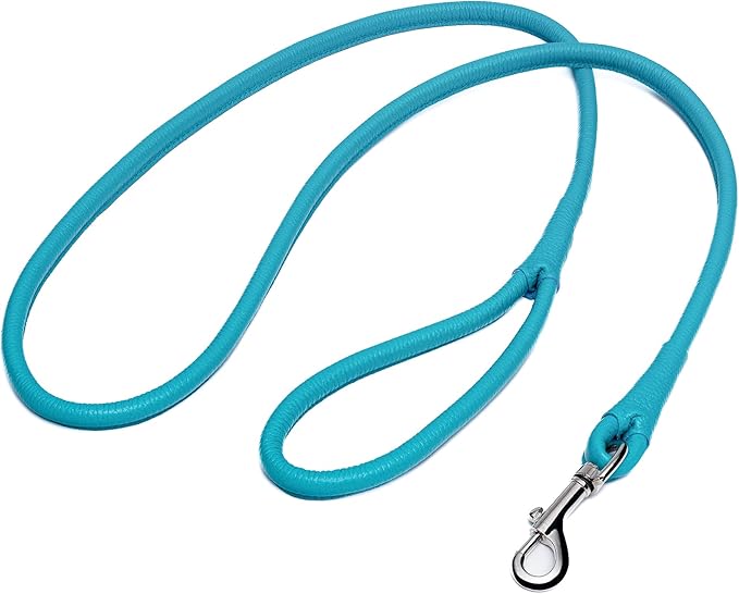 OOPSDOGGY Rolled Leather Dog Lead 6ft Heavy Duty Training Leash for Small Medium Large Dogs & Puppy Black Brown Red (Blue, Small)