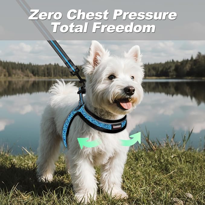 Dog Harness and Leash Set,Step in Small Sized Dog Harness,Soft Mesh,No-Chock,Reflective Adjustable,Secure with Hook & Loop Fastener,Puppy Vest for Small,Medium Dogs(Blue/Black,M)