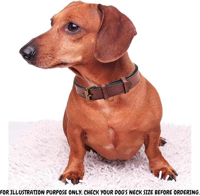 Real Leather Dog Collar Padded Soft Interiors with Premium Vintage Look Handcrafted Heavy Duty with Tag Ring for Small Medium and Large Pets (Medium (1.25" Wide for 13.5" - 17.5" Neck), Oxblood)