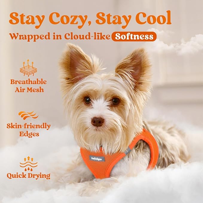 rabbitgoo Small Dog Harness, Step-in Soft Mesh Puppy Vest with Safety Buckle, Breathable Reflective Pet Harness for Small Sized Dogs, Orange S