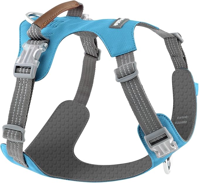 No Pull Dog Harness – Adjustable Reflective Nylon Vest for Small Medium Large Dogs, Escape Proof Training Harness with Leather Control Handle, Lightweight Aluminum Hardware (Cyan, L)