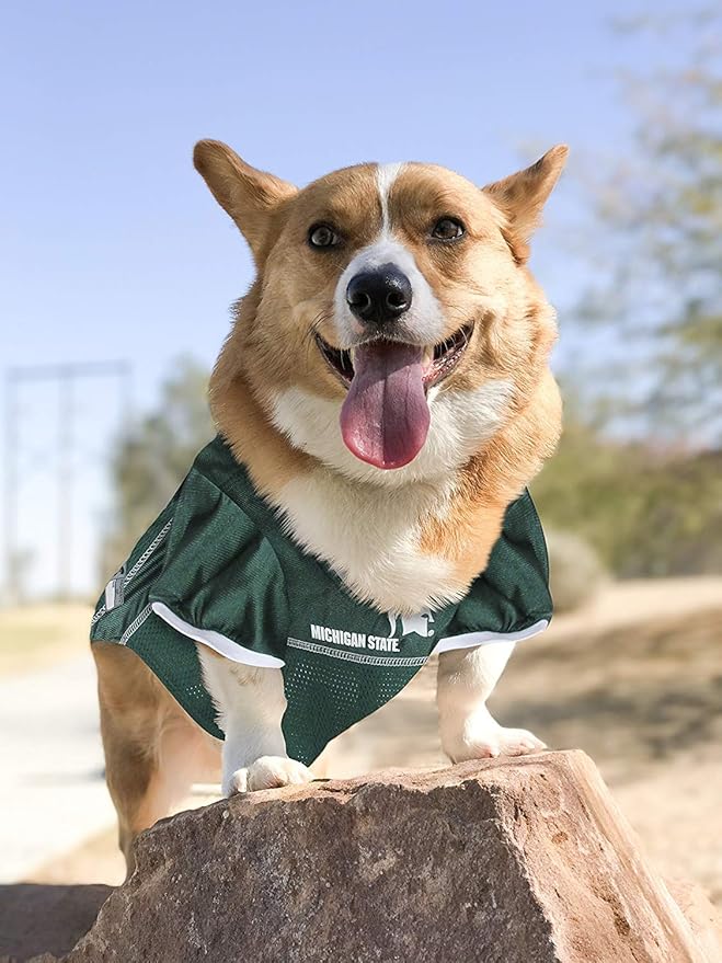 Pets First NCAA College Michigan State Spartans Mesh Jersey for DOGS & CATS, Large. Licensed Dog Jersey with your Favorite Football/Basketball College Team
