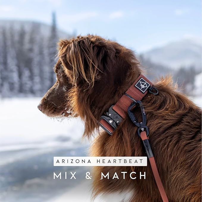 MADE TO ROAM Premium Explorer Leash - Climbing Rope Leash with Autolocking Aviation Aluminum Carabiner - Maine Marina, 4ft