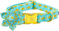 Elegant little tail Easter Dog Collar, Chicken Eggs Dog Collar with Flower Blue Boy Girl Pet Gift Puppy Flowers Adjustable Pet Collars for Medium Dogs