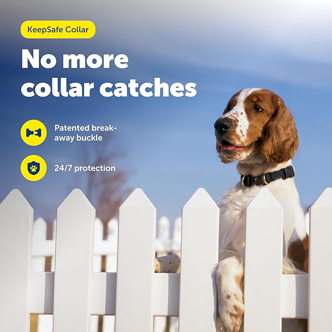 PetSafe KeepSafe Collar for Dogs - Protects Against Collar Accidents - Long Lasting - Durable - Adjustable - Breakaway - Outdoor-Safe - Medium - 1 in. Wide - Black