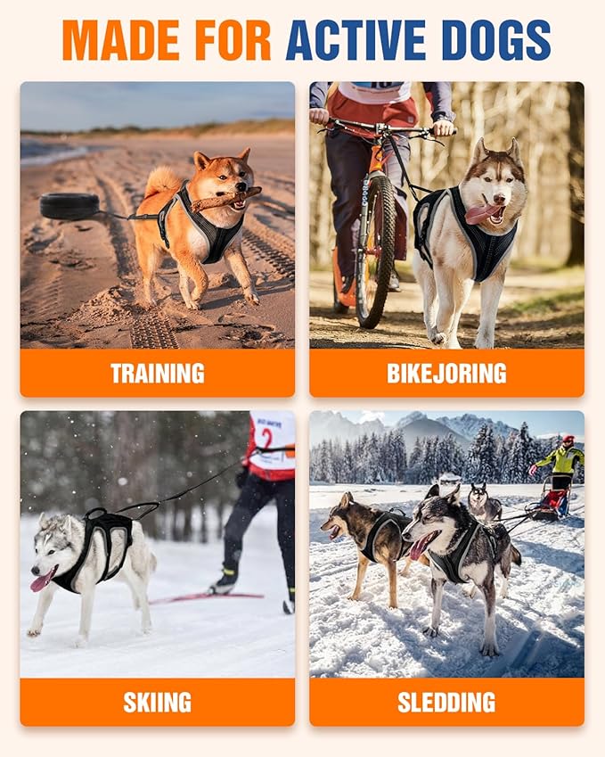 Dog Pulling Harness for Running, Skiing, Biking & Weight Pulling – Adjustable Sled Dog Harness with Leash & Waist Leash Attachment for Medium & Large Breeds (L)