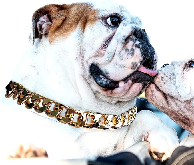 Gold Chain Dog Collar - 7/8 inch Wide Metal Cuban Link Dog Necklace with Leather Belt, Lightweight Protect Puppy's Neck, Cute Fashion Dog Jewelry Accessories 16 inches