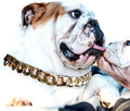 Gold Chain Dog Collar - 7/8 inch Wide Metal Cuban Link Dog Necklace with Leather Belt, Lightweight Protect Puppy's Neck, Cute Fashion Dog Jewelry Accessories 16 inches