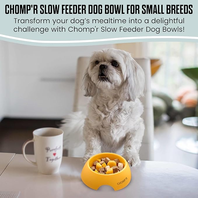 CHOMP'R Slow Feeder Dog Bowl for Small Breeds, Food Grade Interactive Puzzle, Non Slip Bowl to Slow Down Eating, Anti-Choking Mini Maze for Small Dogs Cats Puppies, Yellow